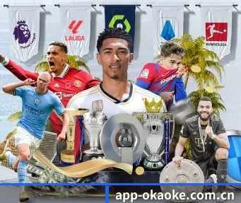app-okaoke.com.cn APP